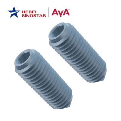 Allen Head Set Screw